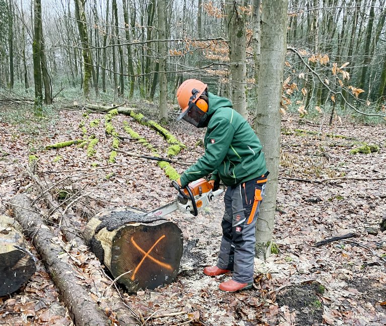 Dominik Golik hat den Lehrgang geschafft und darf jetzt mit der Kettensäge arbeiten.